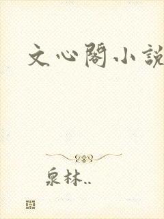 文心阁小说封面