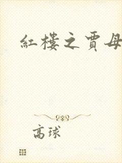 红楼之贾母封面