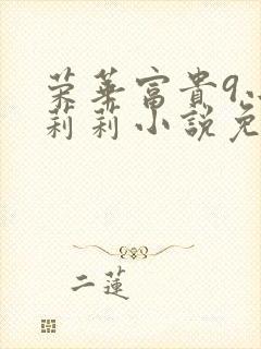 荣华富贵9小王莉莉小说免费阅读