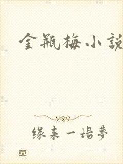 金瓶梅小说