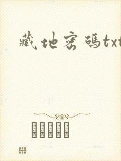 藏地密码txt封面