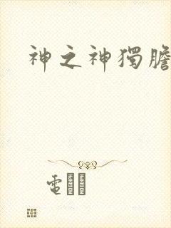 神之神独胆王封面