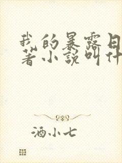 我的暴露日记原著小说叫什么