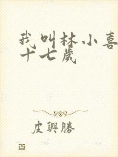 我叫林小喜今年十七岁