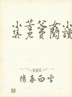 小芳父女小说全集免费阅读封面