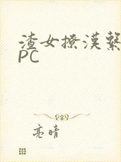 渣女撩汉系统NPC