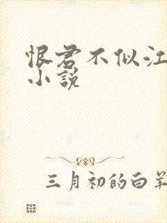 恨君不似江楼月小说