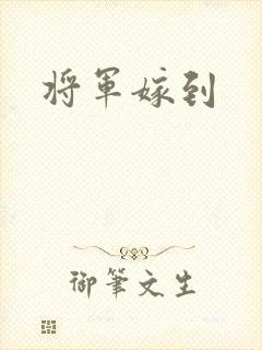 将军嫁到