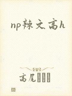 np辣文高h