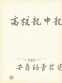 高校龙中龙