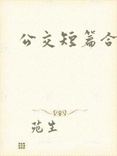 公交短篇合集