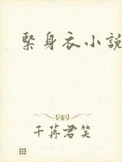 紧身衣小说