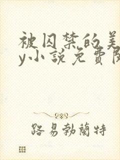 被囚禁的美人by小说免费阅读
