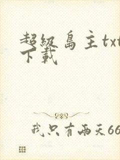 超级岛主txt下载