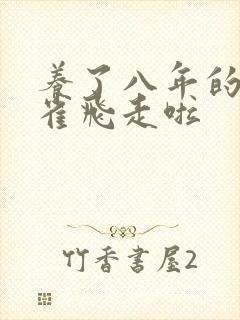 养了八年的金丝雀飞走啦