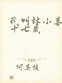 我叫林小喜今年十七岁