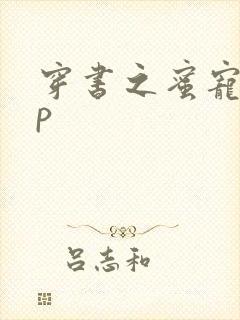 穿书之蜜宠hnp