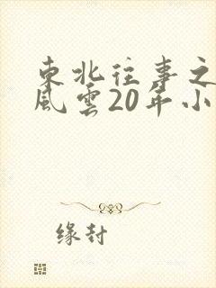 东北往事之黑道风云20年小说封面