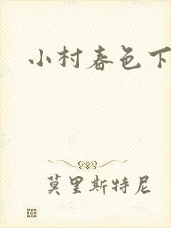 小村春色下载