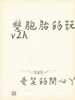 双胞胎的玩具1v2h