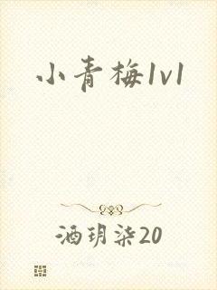 小青梅1v1