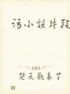 污小说片段封面