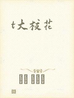t大校花封面