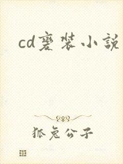 cd变装小说封面