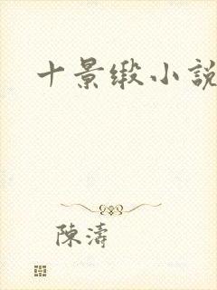 十景缎小说