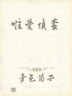 唯爱侦查