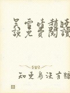 吴雪晴赵晓东小说免费阅读