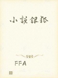 小说银狐
