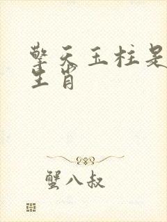 擎天玉柱是什么生肖