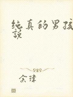 纯真的男孩子小说封面