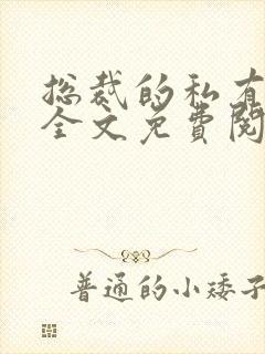 总裁的私有宝贝全文免费阅读