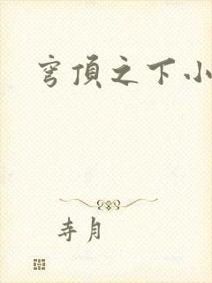 穹顶之下小说