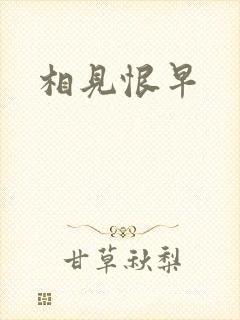 相见恨早