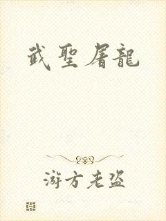 武圣屠龙封面
