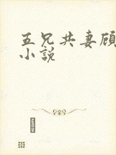 五兄共妻顾心儿小说