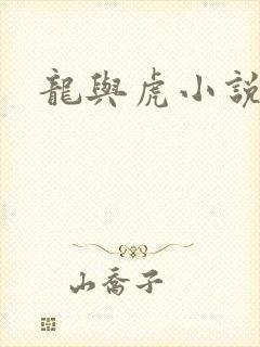 龙与虎小说