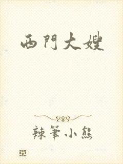西门大嫂封面