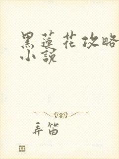 黑莲花攻略手册小说
