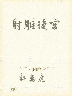 射雕后宫