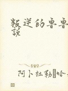 叛逆的鲁鲁修小说