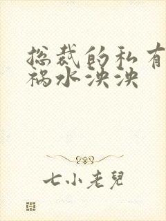 总裁的私有宝贝祸水泱泱封面