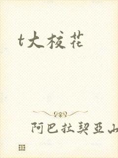 t大校花封面