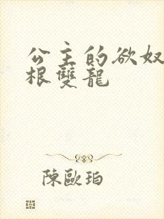 公主的欲奴h四根双龙封面