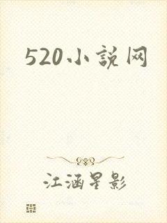 520小说网
