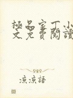 极品家丁小说全文免费阅读