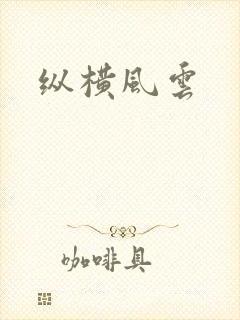 纵横风云